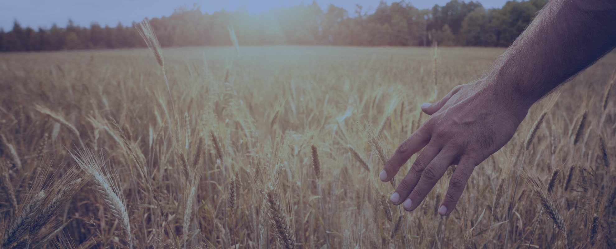 How Maker’s Pride completely transformed its travel program.